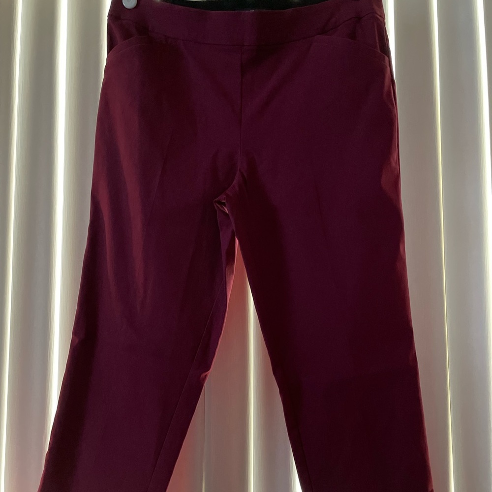 Women’s Wine Stretch Dress Pant